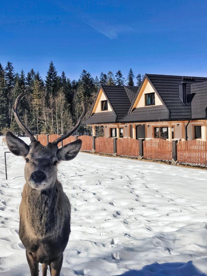 M Domki Zakopane Eksteriør bilde